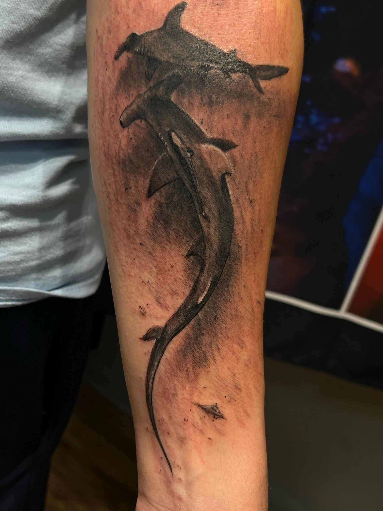 simple goblin shark tattoo, it was my first tattoo!! any other goblin  appreciators ??? : r/sharks