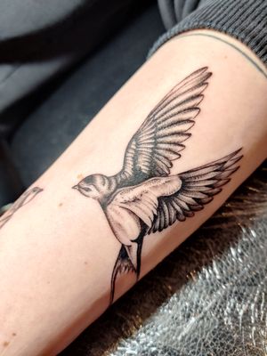 Beautiful black and gray dotwork bird tattoo on the arm by Mary Shalla, showcasing intricate detail and elegance.