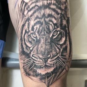 Experience the fierce beauty of a realistic blackwork tiger tattoo on your arm by the talented artist Pablo.