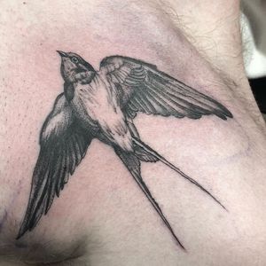 This blackwork tattoo features a stunning illustrative bird design on the back, expertly executed by artist Pablo.