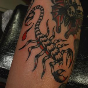 Get a fierce and classic scorpion tattoo on your arm in London. Traditional style with bold lines and vibrant colors.
