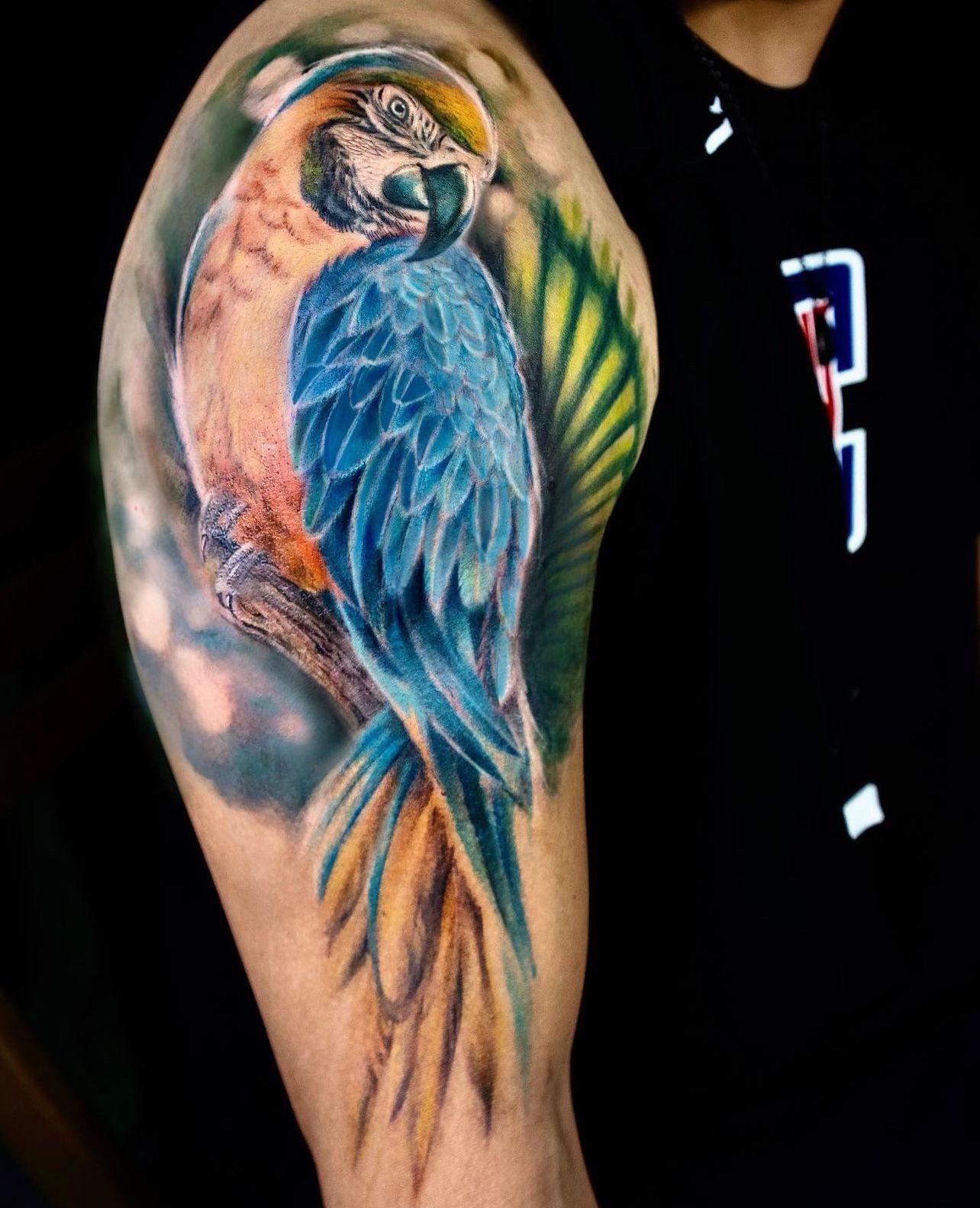 30 Adorable Parrot Tattoo Designs You will Love  Art and Design  Parrot  tattoo Colored tattoo design Tattoo designs