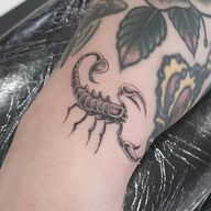 Scorpion