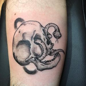 Get a striking blackwork and illustrative tattoo of a snake intertwining with a skull, expertly done by artist Carlos Hernandez.
