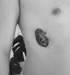 #kidney #kidneytattoo #anatomy #anatomytattoo #photorealism #dotworktattoo #minimalism #minimaltattoo #blxckink #tattoosandflash #darkartists #topclasstattooing #tattoodo #tttism 
