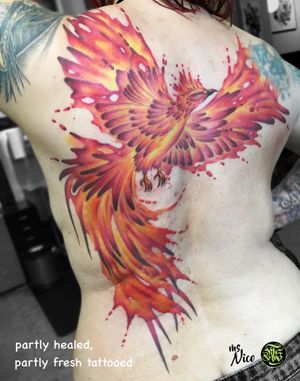 phoenix by miss Nico