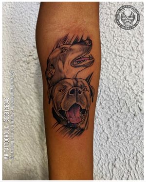 Any Tattoo & Piercing inquiry🧿📱Call:- 9558126546DM or Visit studio for free consultation 🟢Whatsapp:- 9558126546_________________________✉️Mrtattooholic111@gmail.com#dogtattoo #dogfacetattoo #dogportrait #dogportraittattoo #portraittattoo #portraitart #portraitartist #realismtattoo #realismart #realism #mrtattooholic #tattooartist #tattoostudio #tattooparlor #tattooshop #dog #doglover #doberman #rottweiler #tattoo #tattoodesign #tattooideas #tattoolove #tattoolife #tattooart #tattoos #dogsofinstagram #dogoftheday #doglife #ahmedabad