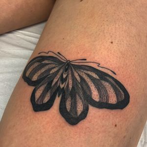 Papillon/Butterfly ♥️ • Merci pour ta confiance/ Thank for thé trust • Done at @fouutupourfoutu_tattoo • N’hésitez pas à me contacter par Dm ou E-mail ( joeysauvage7@gmail.com) • #tattoo #tatouage #papillon #botanic #tattoo #butterfly #butterflytattoo #ink #inked #flashtattoo ♥️