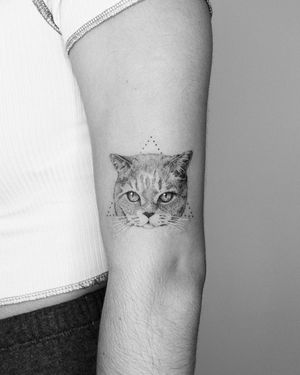 Beautiful upper arm tattoo by Marcos showcasing a detailed and realistic cat design in black and gray ink.