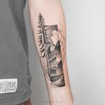 Mountain / Tree / Nature / Landscape