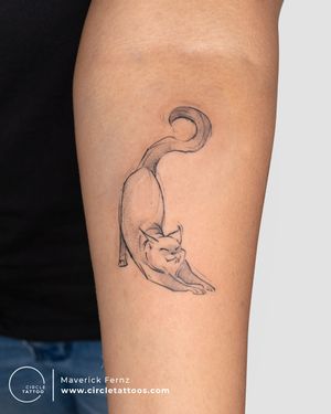 Sketchy Cat Tattoo done by Maverick Fernz at Circle Tattoo India 