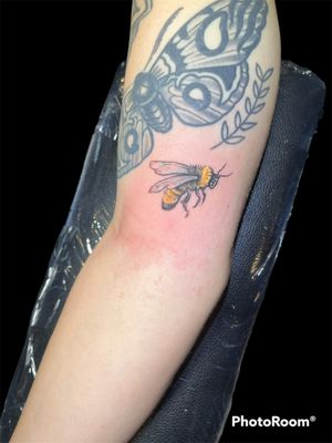 Bumble bee 🐝 