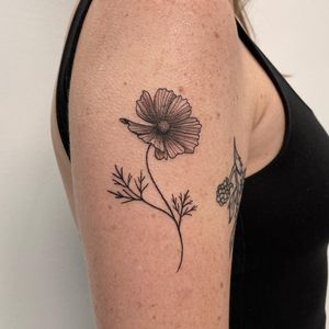 Exquisite blackwork and illustrative flower design on upper arm by talented artist Nic V.