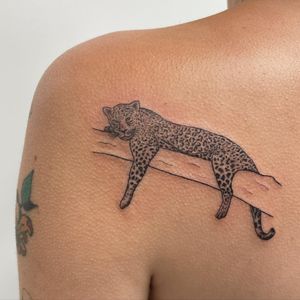 Embrace the power and beauty of a fierce leopard with this striking blackwork tattoo by Nic V on your upper back.