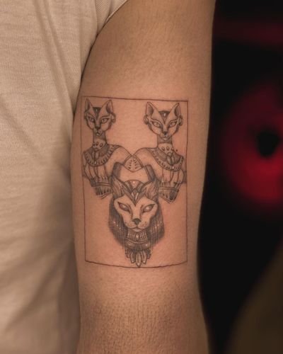 Fine line illustrative tattoo of a regal cat with a crown on upper arm by talented artist Fabian Lopez Barreda.