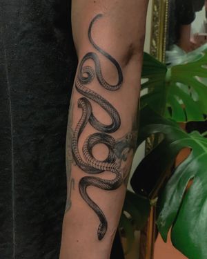 A stunning blackwork snake design on the forearm by Fabian Lopez Barreda, creating a bold and captivating look.