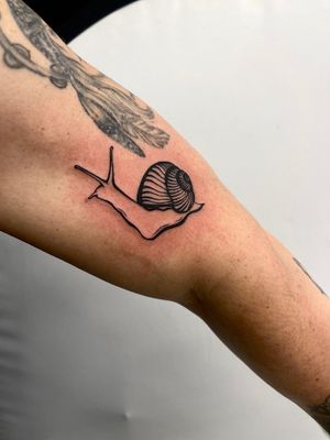 Get a unique illustrative snail design on your upper arm with this striking blackwork tattoo. Trust Miss Vampira for bold and detailed ink creations.