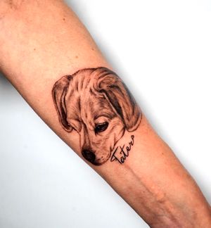 Unique forearm tattoo featuring a realistic black and gray dog portrait and customized lettering, expertly done by tattoo artist Miss Vampira.