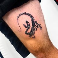 Dinosaur Skeleton