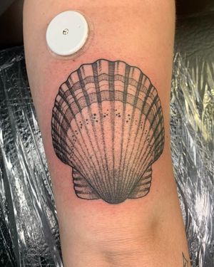 Sea Shell Tattoo by Elena Wolf done at Wolf Wood Ink 