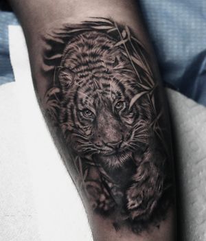 Capture the fierce yet delicate beauty of a tiger and leaf in striking black and gray realism. By renowned artist Alejandro Gonzalez.