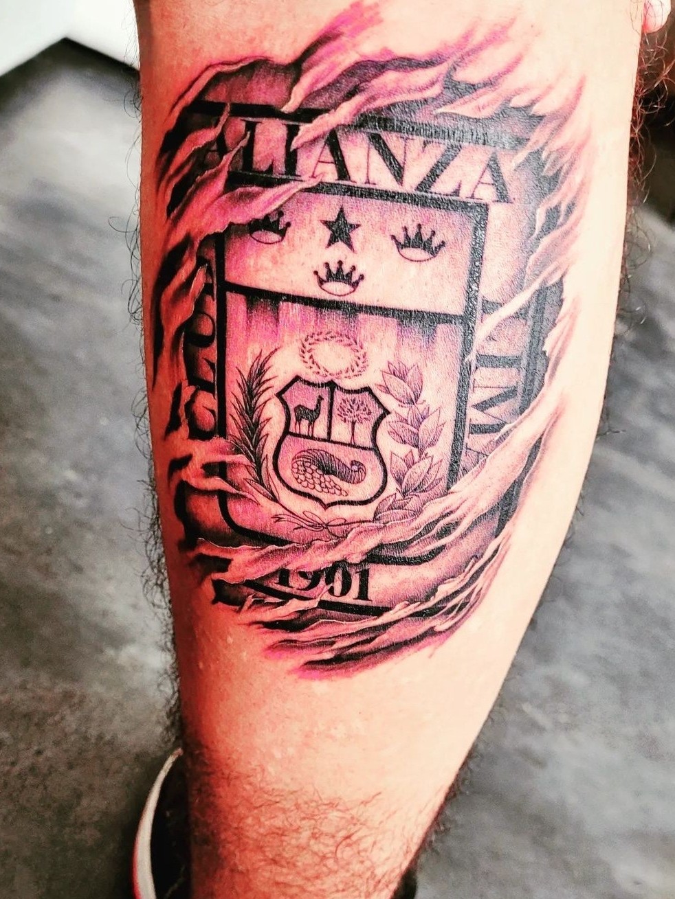 Tattoo uploaded by Jeral Benites Alianza lima 1901 Tattoodo