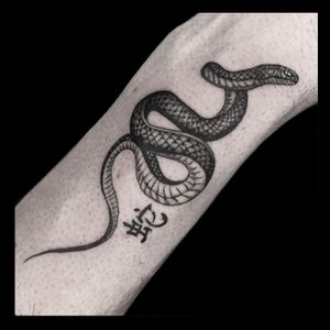 Blackwork tattoo featuring a snake and kanji lettering, done in an illustrative style by Drone.