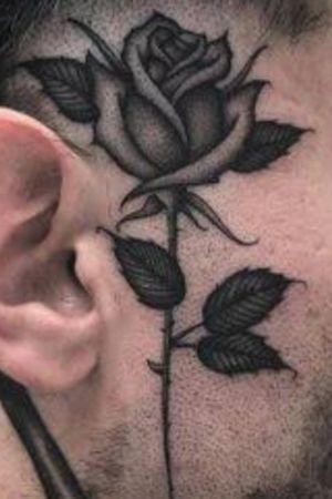 An amazing rose with a few different styles of shading. 