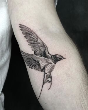 1st or 2nd swallow? 🤔 Custom pieces for the same person done by our resident @cat_vaska116 
Vas has limited availability in January! Get yourself booked for 2023! 
Happy New Year everyone! 🥳
Books/info in our Bio: @southgatetattoo 
•
•
•
#swallowtattoo #swallowstattoo #realistictattoo #sgtattoo #southgatepiercing #southgatetattoo #londontattoo #londontattooartist #southgate #london
