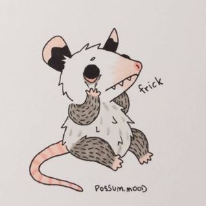 Credit to possum.mood#possum #opossum #frick