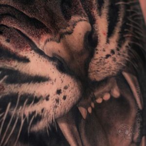 🇨🇦Toronto🔞 @timelessinktorontoInstagram: @boevets_slava☎️Tel./ WhatsApp // +4373888620📧 facebook.com/slavaboevets#nocturnaltattooink #eternalink #kwadron #vladbladirons  #spirittattooproducts #torontotattooartist #tattoocanada #tattoorealistic #boevets_tattoo #boevets_slava #tattootoronto #tattoousa  #tattoos #tattooist #realismtattoo #tattooer #tattoo #tattoocanada #canadatattoo #ti