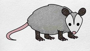Tattoo concept. I want this stinky dooder on my body.#possum