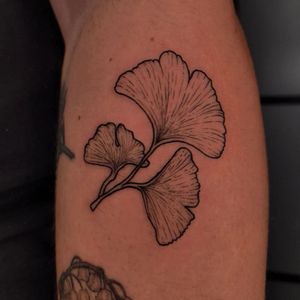 Experience elegant blackwork with Erin's skillful artistry, a stunning floral design adorning your arm.