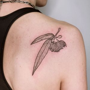 Beautiful blackwork shoulder tattoo featuring a tree, flower, and leaf, created by the talented artist Erin.