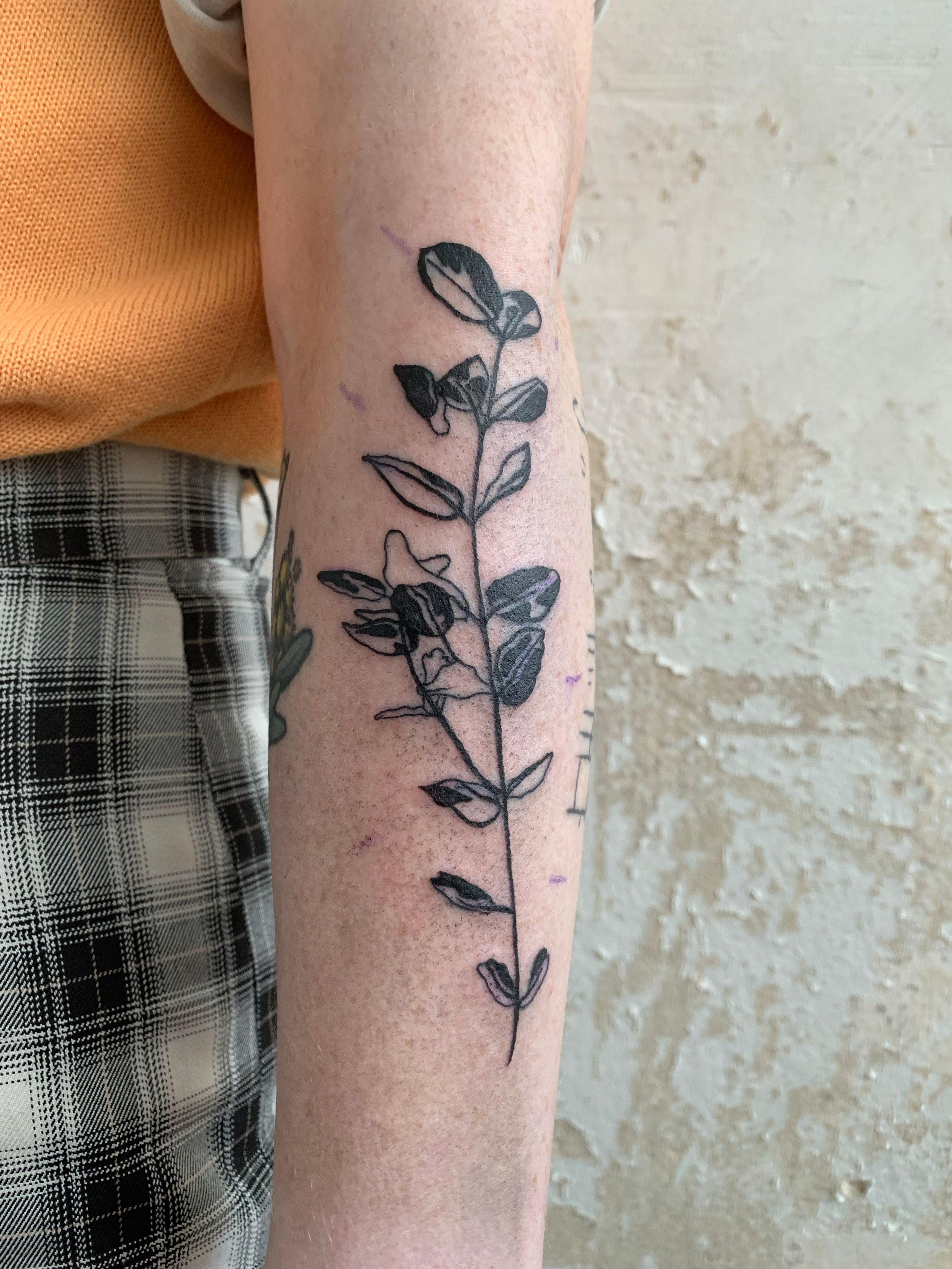 Eucalyptus Tattoo Meaning, Designs & Ideas - Tattoo SEO