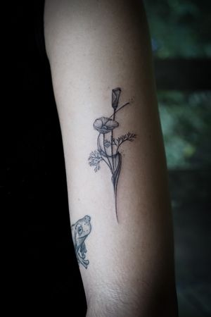 𝙄𝙂: 𝙣𝙖𝙩𝙚_𝙩𝙝𝙖𝙞𝙡𝙖𝙣𝙙 🌿 Blackwork minimal California poppy flower tattoo by a tattoo artist in Chiang Mai, Thailand 