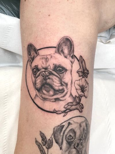 Doggo! Dogs are the purest form of joy and I got to spend a while staring at this cute face! . #dogtattoo #dogportrait #dogportraittattoo #petportrait #petportraittattoo #animaltattoo #cattattoo