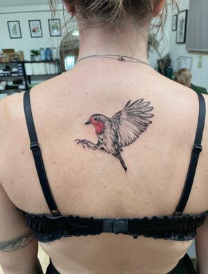 I have an obsession with doing bird tattoos!.#redbreastedrobin #redbreastedrobintattoo #robintattoo #ornithology #birdtattoo #animaltattoo #