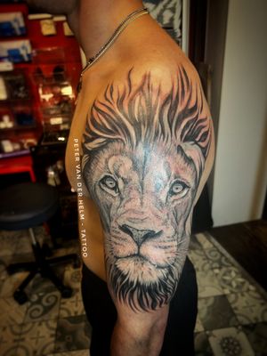 Lion tattoo. 1 sitting 6,5 hours.