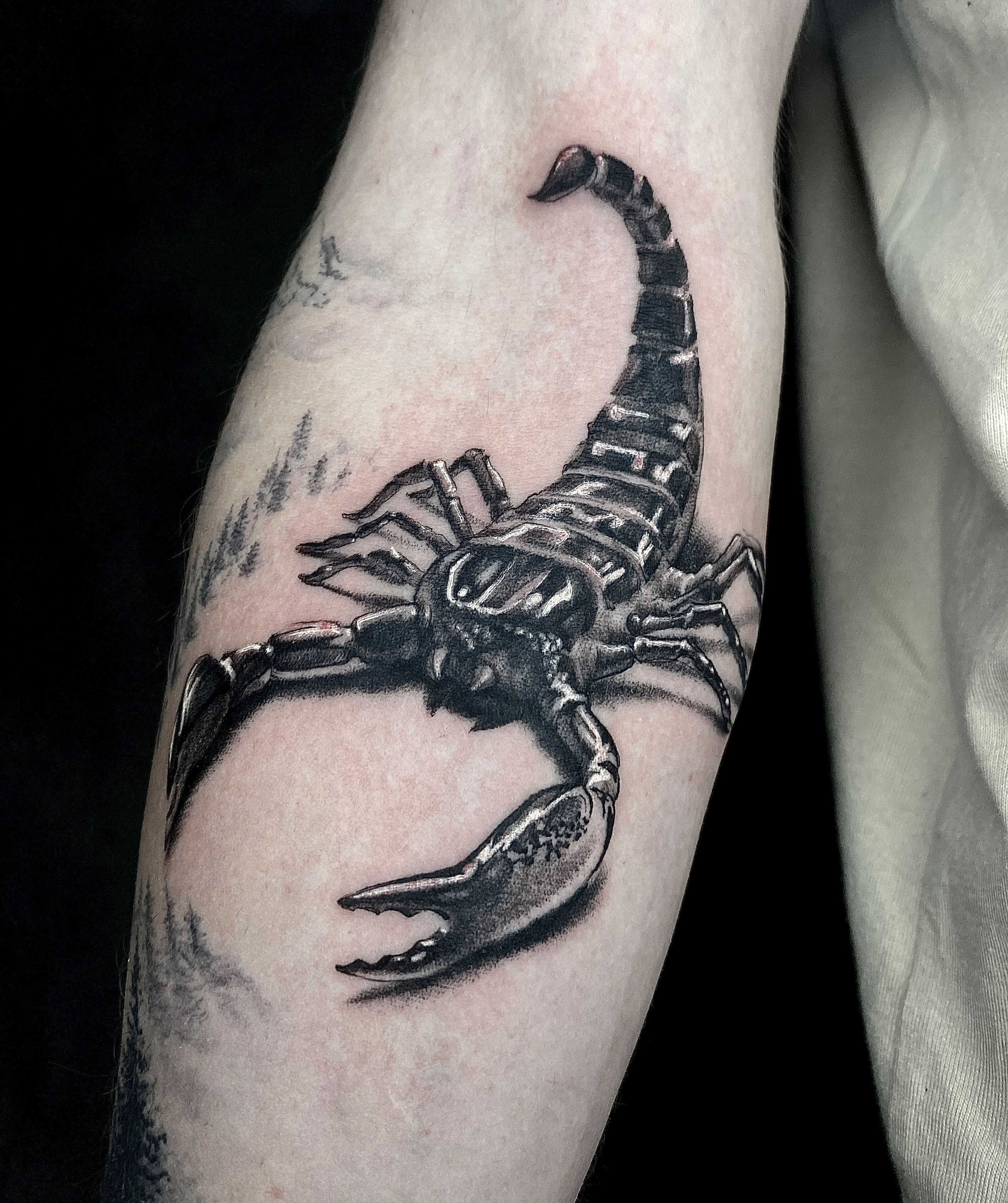 Tattoo uploaded by Southgate SG Tattoo & Piercing Studio • • Scorpion •  realistic piece by our resident @cat_vaska116 Books/info in our Bio:  @southgatetattoo • • • #scorpiontattoo #scorpiotattoo #scorpion  #realistictattoo #southgate #