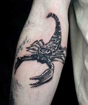 • Scorpion • realistic piece by our resident @cat_vaska116 Books/info in our Bio: @southgatetattoo • • • #scorpiontattoo #scorpiotattoo #scorpion #realistictattoo #southgate #southgatetattoo #londontattoo #sgtattoo #london #southgatepiercing #londontattooartist