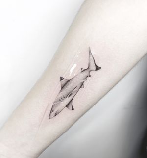 Shark 🦈 #amsterdam #art #barcelona #fineline #germany #ink #inked #lineas #london #losangeles #minimalism #paris #roma #spain #tattoo #tatuaje #vienna 