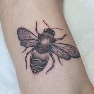 Elegant black and gray bee tattoo on forearm by Sophie Rose Hunter, showcasing intricate fine line work.