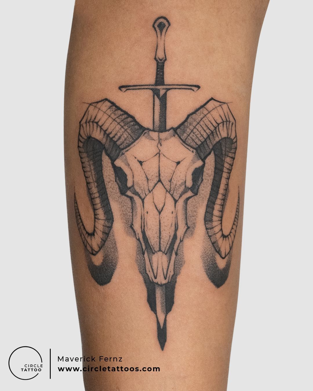 HCFL Tattoo : Tattoos : Animal : Ram Skull