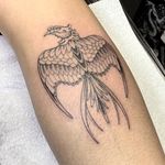 Phoenix Tattoo