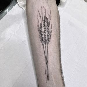 Tattoo by Flora & Fauna Tattoo
