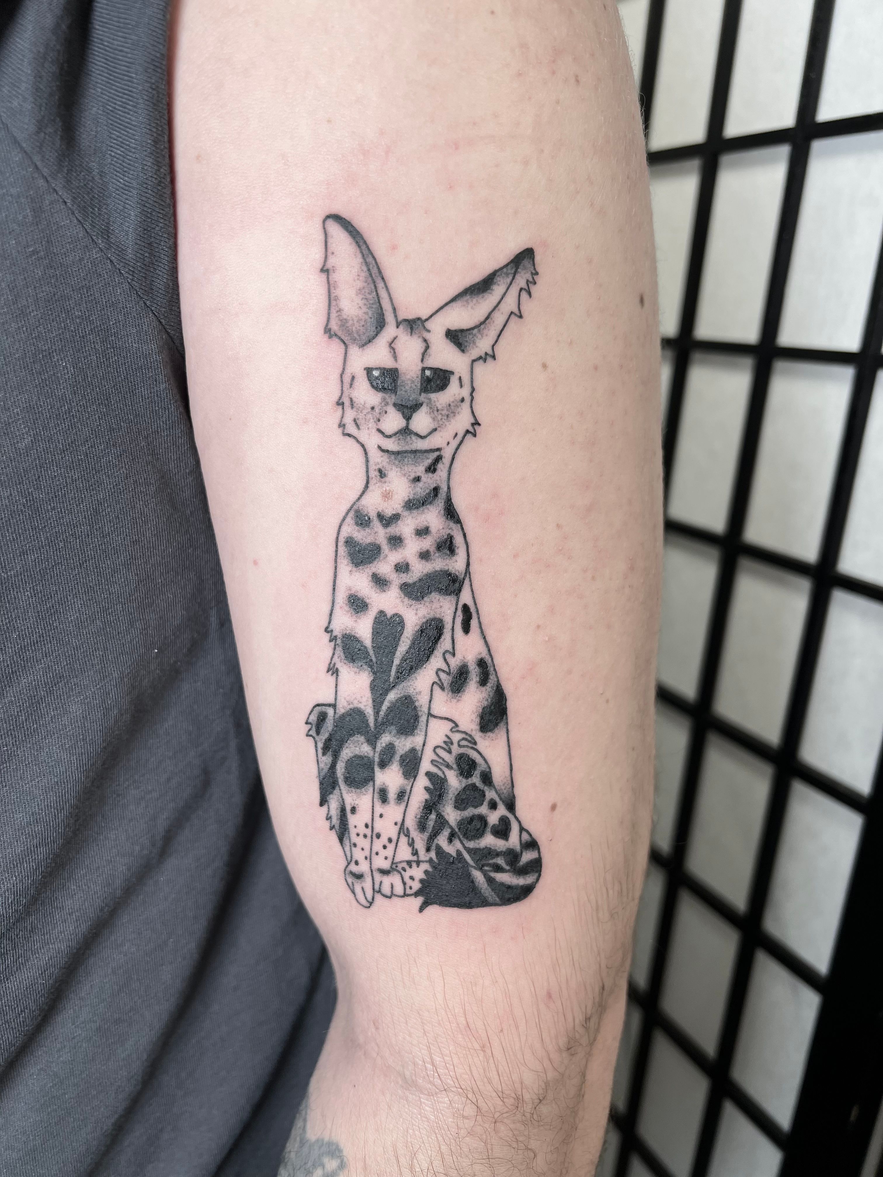 Cheetahs Tattoo by Shane ONeill TattooNOW