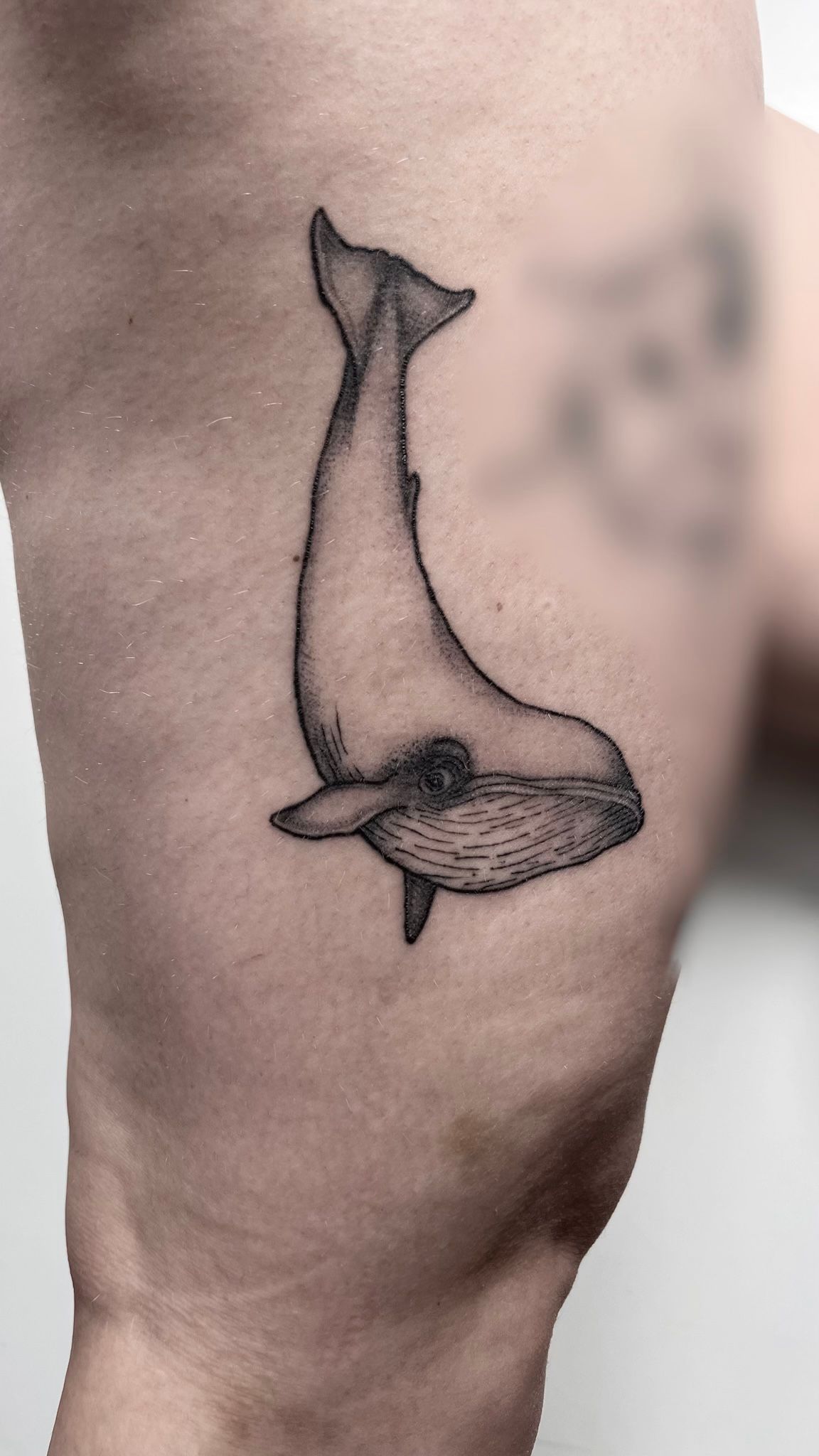 Small whale tattoo  Whale tattoos Humpback whale tattoo Tattoos for  daughters