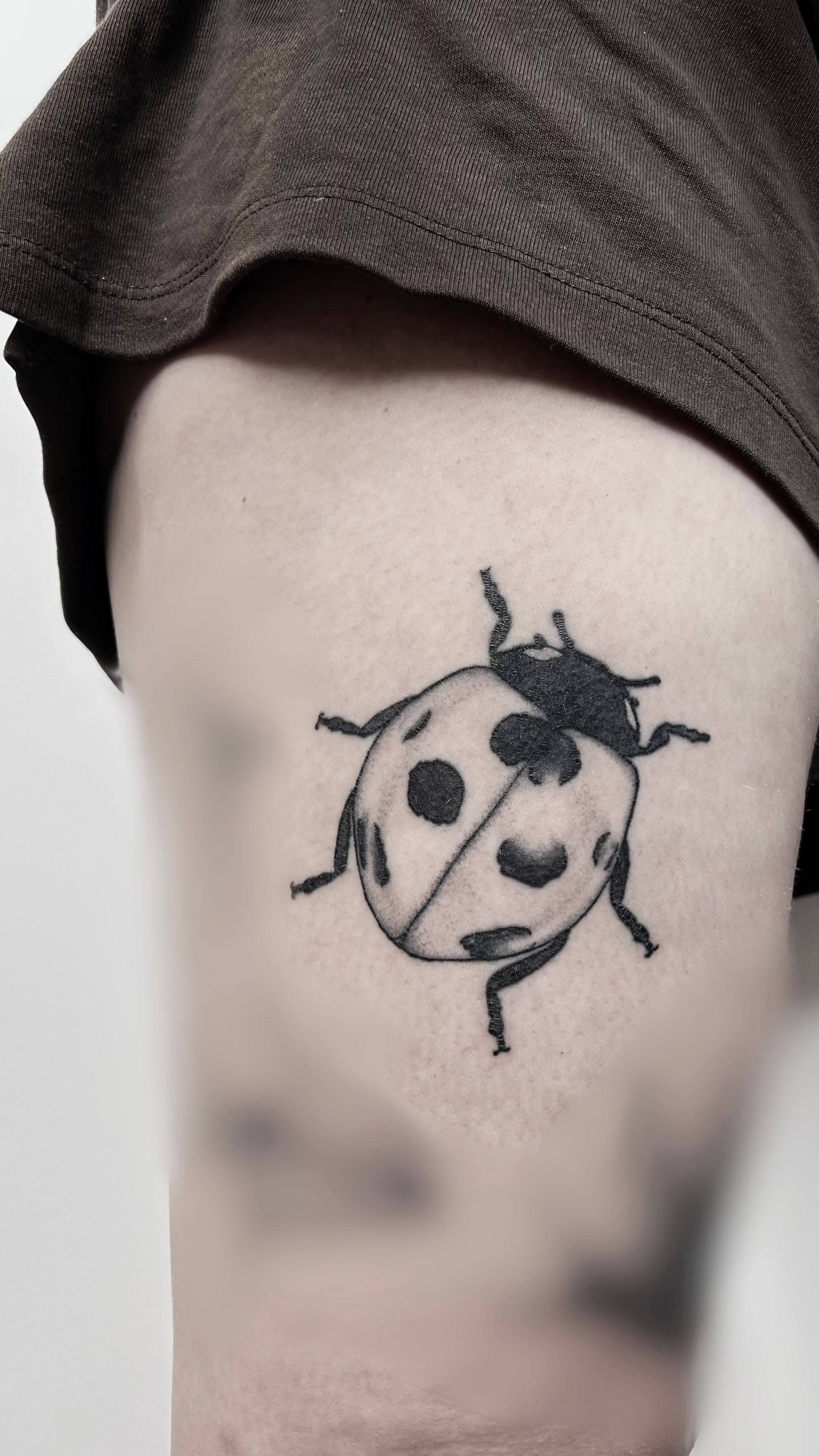 'Ladybug Tribal Tattoo' Sticker | Spreadshirt