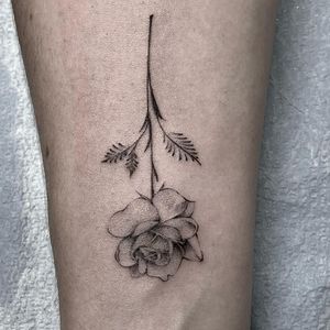 Bold and detailed blackwork flower design on forearm, created by the talented artist Lawrence.
